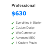 Professional